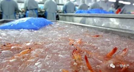 惊!今年进口虾或将达到80万吨,近一半通过走私进口!